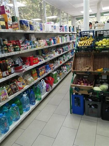 De inchiriat spatiu comercial in Aleea Carpati - 13