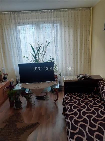 Vanzare Apartament 2 Camere Decomandat Aparatorii Patriei-Panselelor - 6