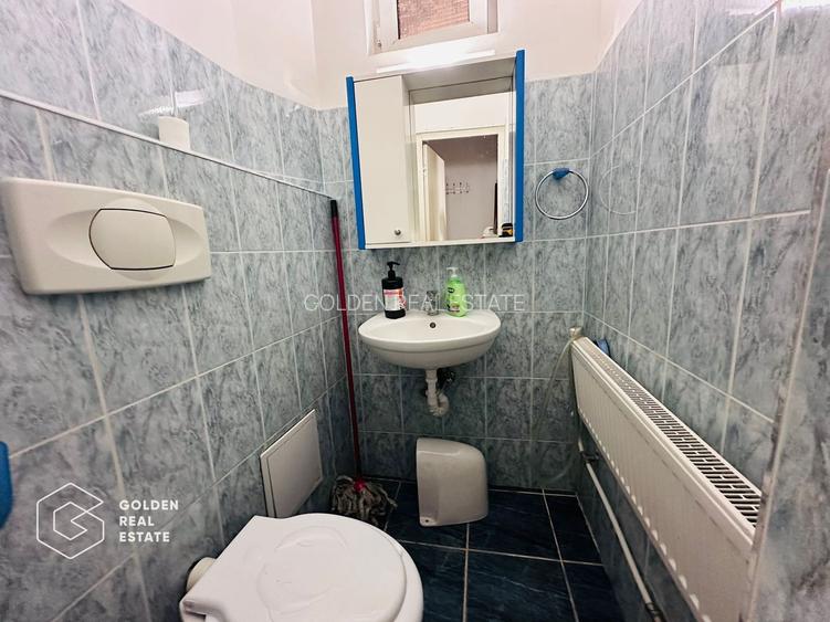 Spatiu comercial,  Zona Ultracentrala, Strada Metianu - 9