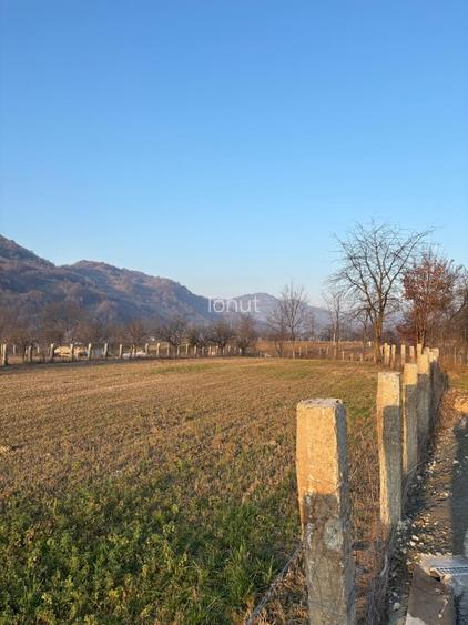 Teren intravilan de vânzare (3111mp) - 4