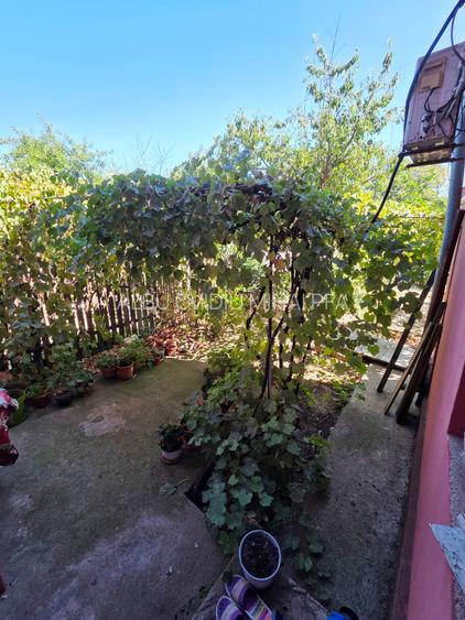 Crangasi, Lacul Morii, casa individuala 230 mp utili, 510 mp teren - 32