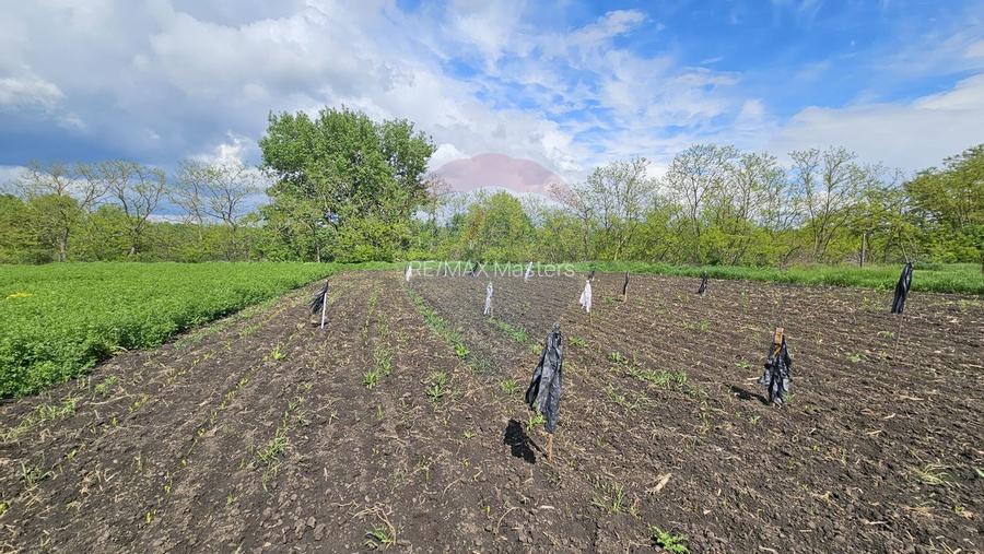 Casă  cu 3 camere, teren intravilan de 1300mp în Ipotești Tișăuți, SV - 30