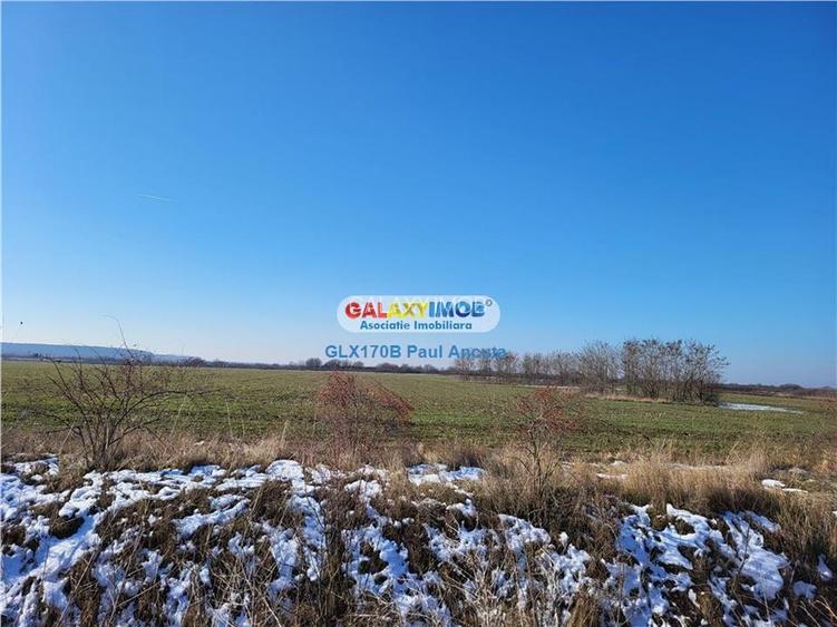 Teren Corbeanca 25000 mp  locuinte Rezidential - 5