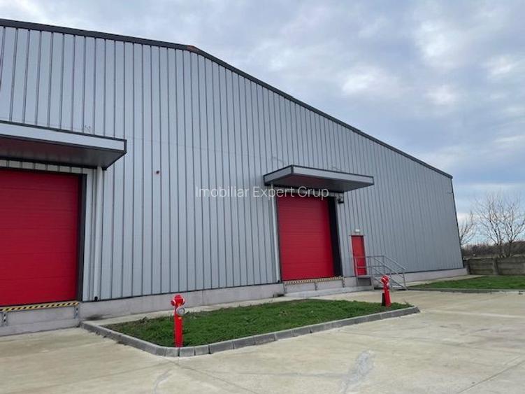 Spatiu depozitare si productie Crevedia - 3