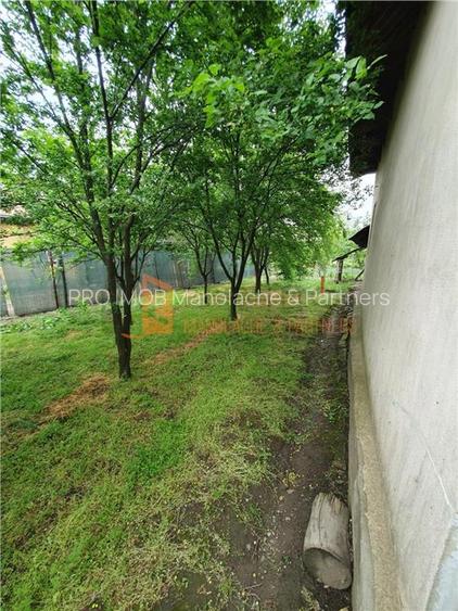 EXCLUSIVITATE! Casa + teren zona Beilic, com. Sageata - 15
