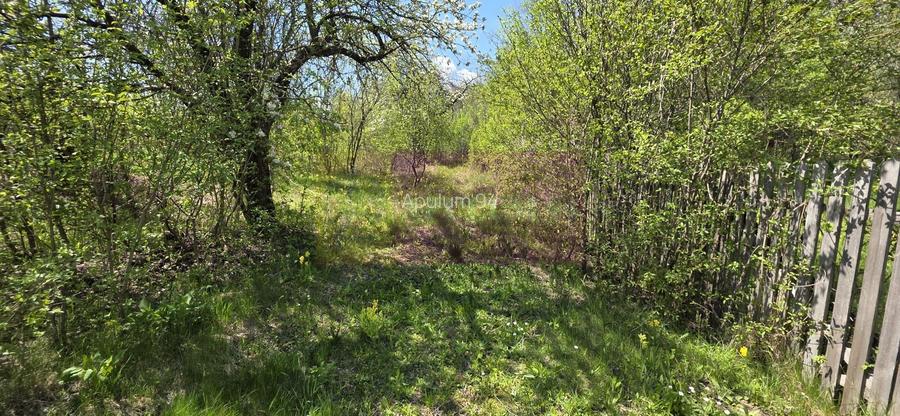 Teren cu Casuta de lemn in Sotrile (langă Valea Doftanei) - 18