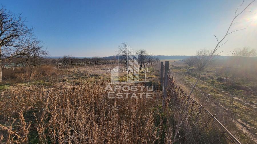 Teren de 3844 mp cu proiect autorizat pt casa individuala,in Pischia, - 2