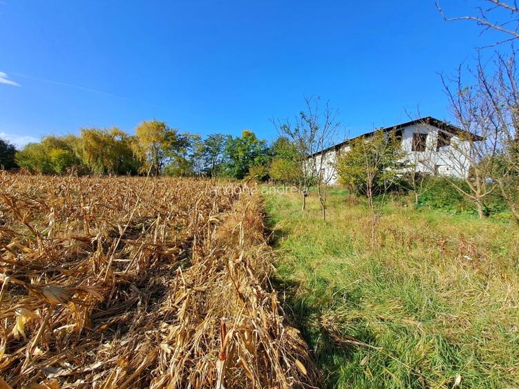 Vând teren intravilan si 2 imobile constructii - 4