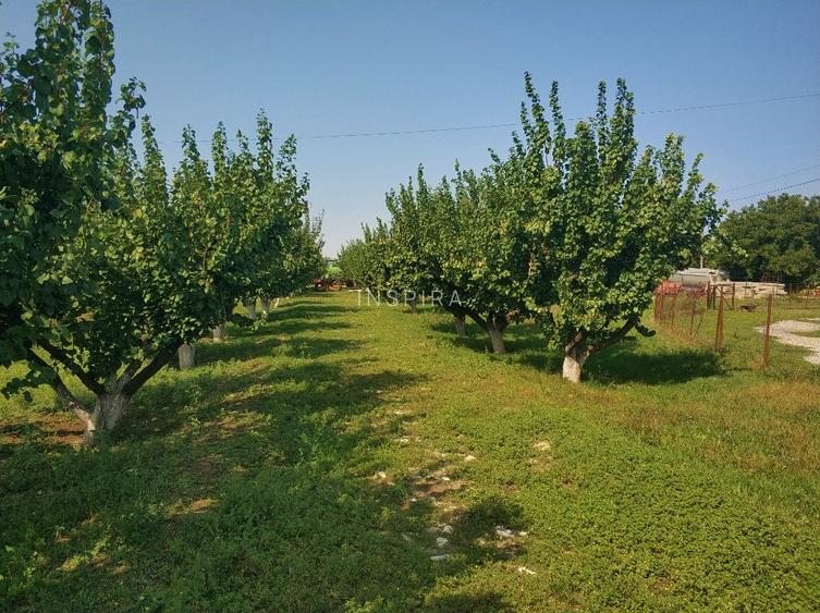 Ferma cu hale 3000 mp si teren 12000 mp, 30 km de Constanta - 2