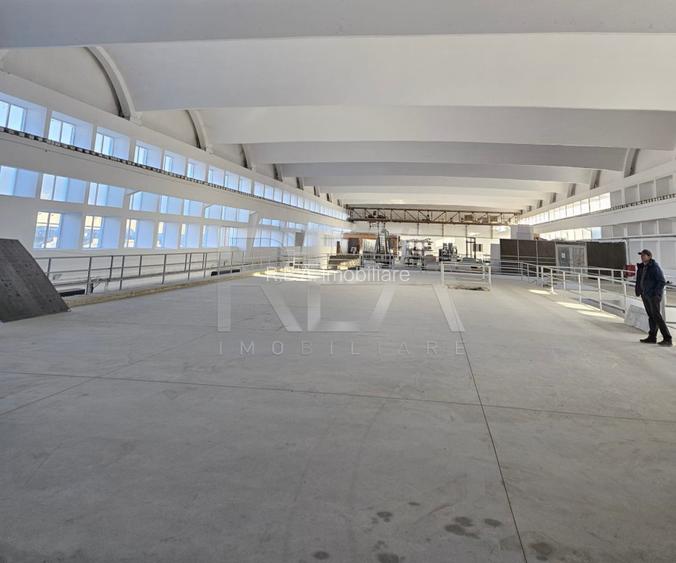 Hala renovata zona industriala Jilava - 2