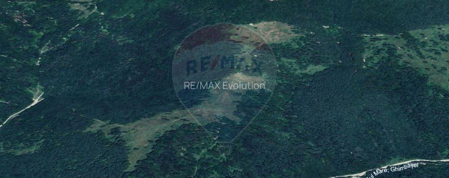 COMISION 0% | Teren 23.000 mp | Extravilan | Râsnov - Pârâul rece - 3