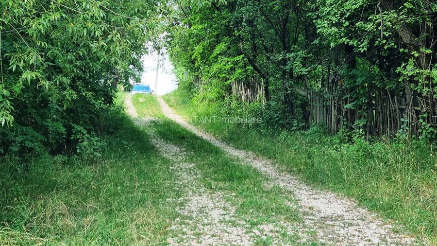 Vanzare Teren  construibil 5700mp Campul Lung Muscel - 17