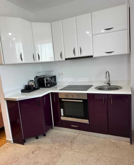 Exclusive Residence-Etaj intermediar-Apartament 1 camera-Copou - 2