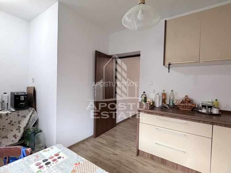 Casa moderna in Sanandrei la asfalt vatra satului - 10