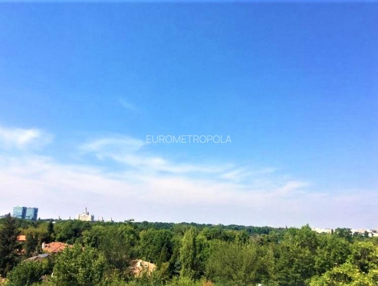 Apartament Primaverii - 6