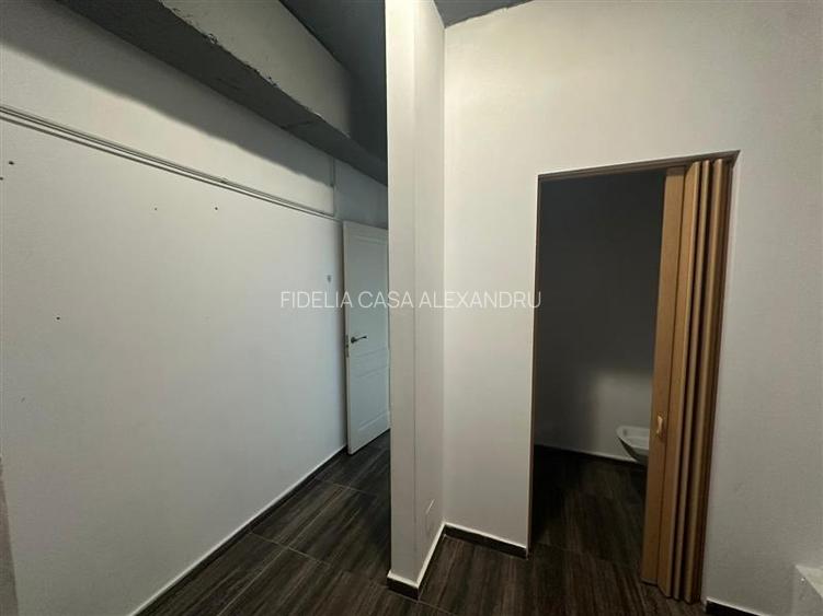 Spatiu comercial 195 mp de inchiriat, Valea Lupului - 17