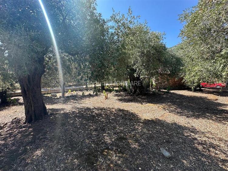 Teren intravilan pe insula Thassos, aproape de plaja salbatica - 10