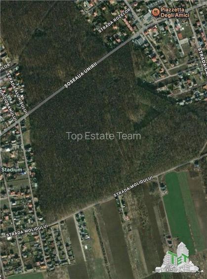 Teren de vanzare langa padure| Tamasi, Corbeanca | 1170mp - 2