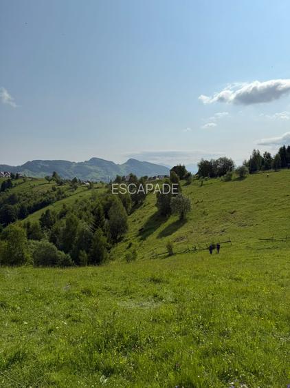 Teren superb intravilan  Pestera- Brasov, 11.908 mp - 5