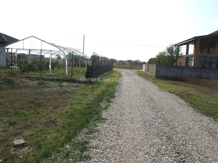 Domnesti-Afinului, teren  4394 mp - 3