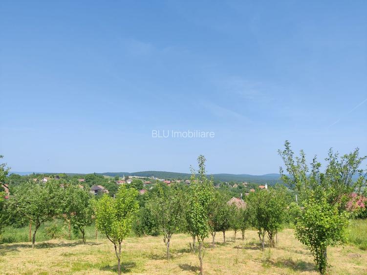 Casa individuala cu teren de 5000 mp, Deusu - 8