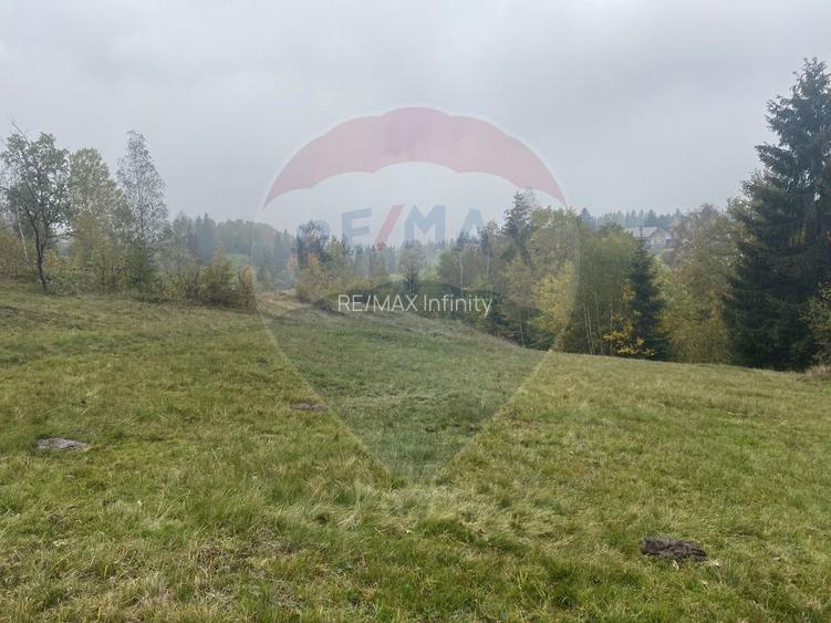 Teren de vanzare 8119 mp Calatele Padure.Muntii Apuseni - 10