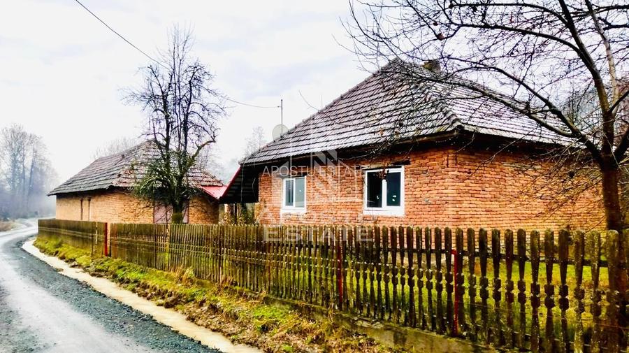 Casa cu potential amenajare pescarie- Zona Varfurile - 4