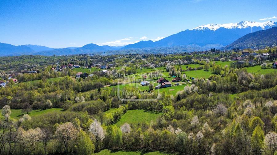 Teren Bran – Tohănița | Vedere Munții Bucegi - 13