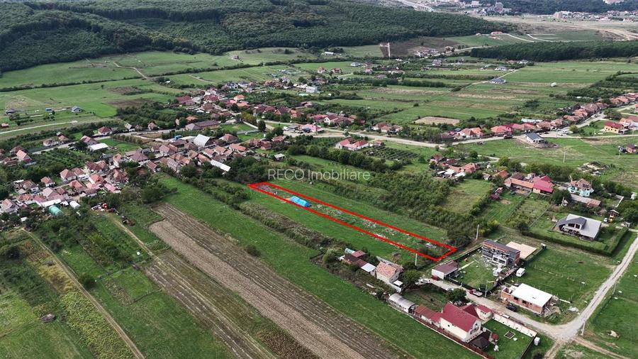 RECO Teren intravilan in Betfia 2000 mp - 4