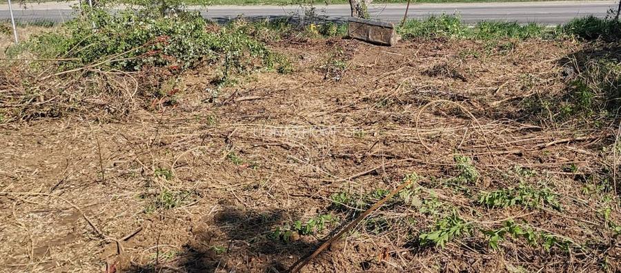 Teren intravilan 1000 mp-ideal afacere,investitie,hala-Zona Centura - 3