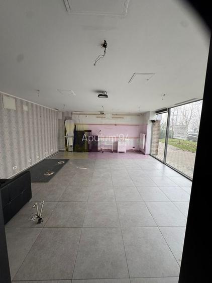 Spatiu Comercial Stradal Șoseaua Colentina zona Teiul Doamnei Suveica - 22