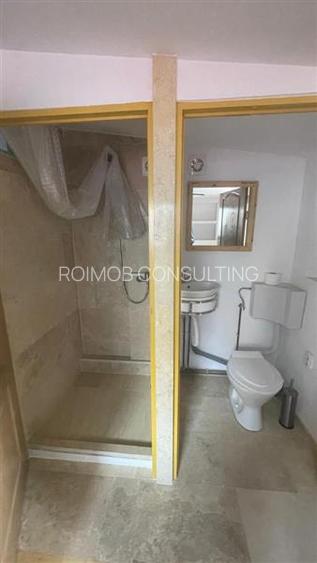 Metrou Timpuri Noi, garsoniera moderna in vila - 4