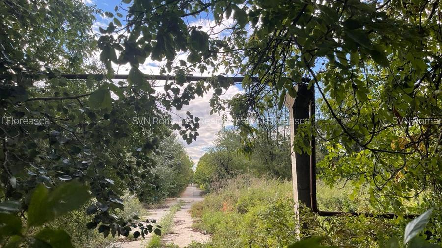 REL4000490 Teren 11ha Splaiul Unirii - Vitan - 3