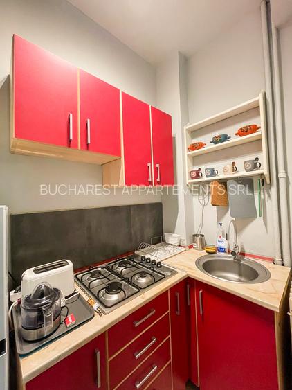 Apartament 2 camere in zona Universitatii / Centru Vechi - 15