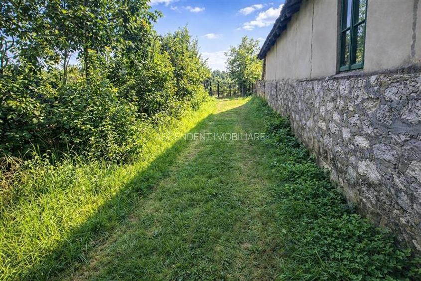 2.000mp teren,acces facil,recomandat constructie casa,Central,Greceanca, Buzau - 3