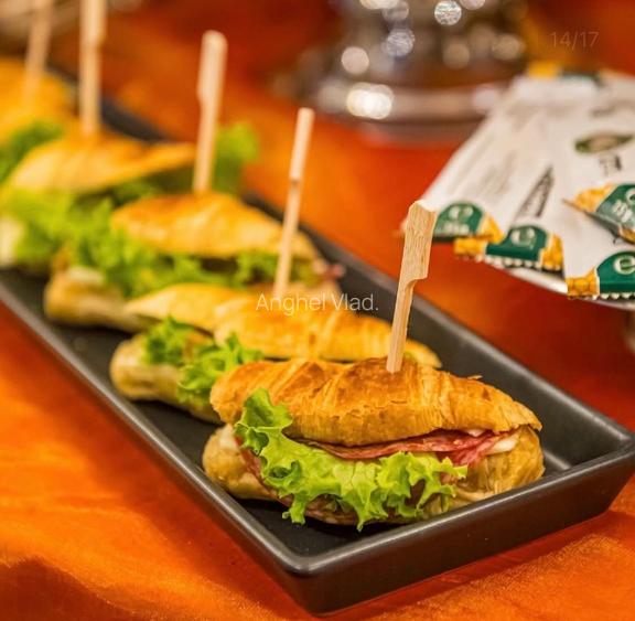 Proprietar vând Hotel Boutique  la Timișoara  - 12