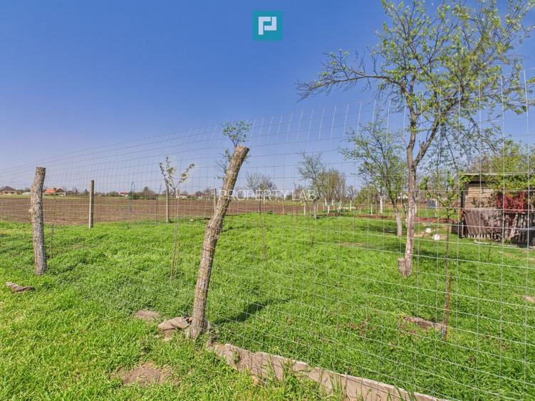 Casă cu grădină mare la 30 km de Timișoara - 24