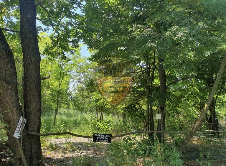 Teren 5526mp, intravilan, Jupiter, 2 deschideri, se acccepta schimb - 5