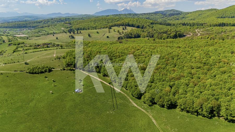 Teren 1500 mp | Zona Viesel – Codlea | Priveliște Superbă | Investiție - 7