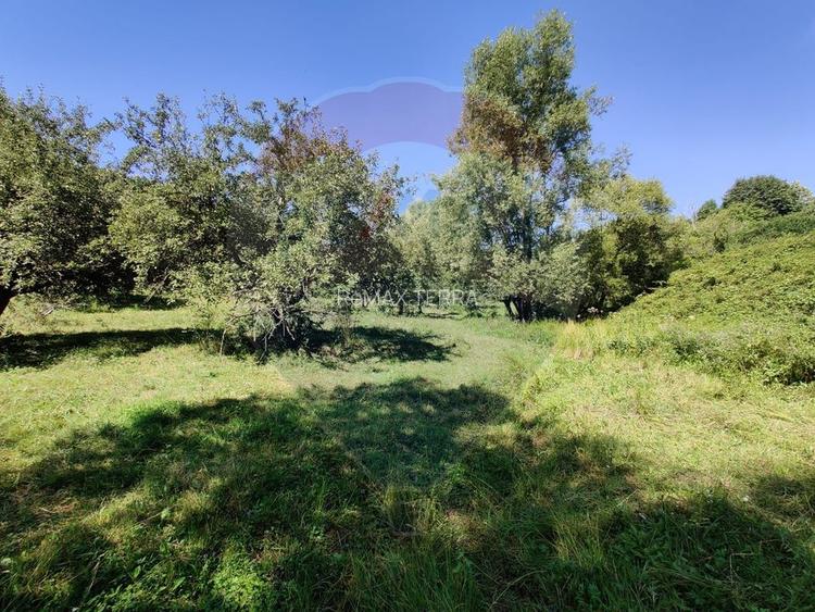 Teren intravilan in Remetea Chioarului - 4