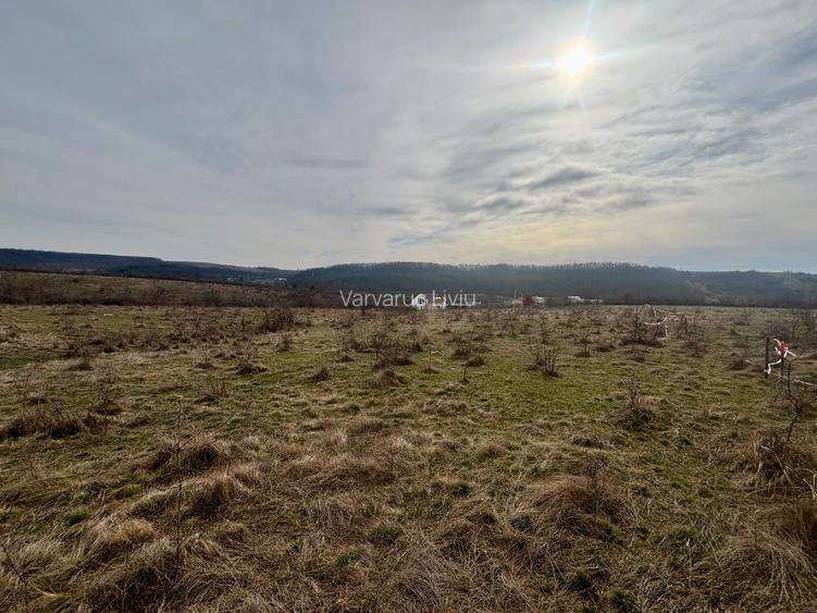 Teren intravilan de vânzare – 802 mp – zona Salciua / Herneacova - 2