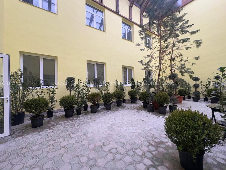 Spatii medicale, cafenea, intre Iulius si Palas Mall - 13