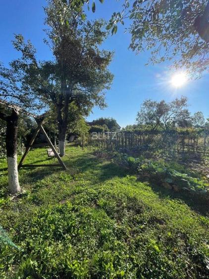 Casa individuala + anexa si gospodarie , 247 mp , 3 nivele, 1669 gradina, Gilau  - 13