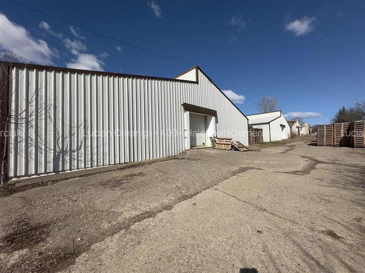 Hala depozitare - productie Iasi, Ciohorani, 3510mp - 5