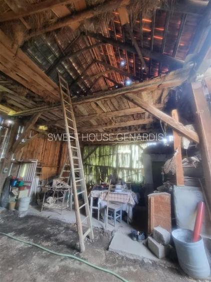 CASA DE VANZARE IN SERCAITA - 14