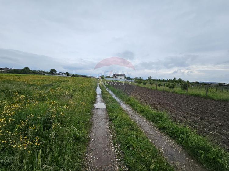 Teren 1,495mp Dobreni / Strada Parau Almas - 19