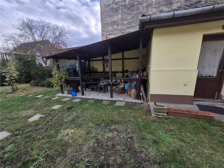 BANATIM - 6 CAM - 2 CASE INDIVIDUALE - CURTE - GRADINA - CENTRALA - 27