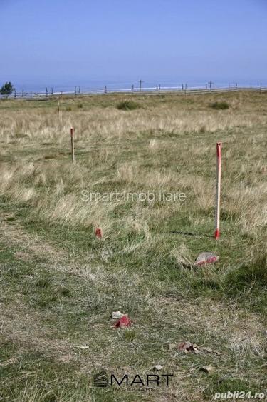 Teren intravilan zona Paltinis - 3