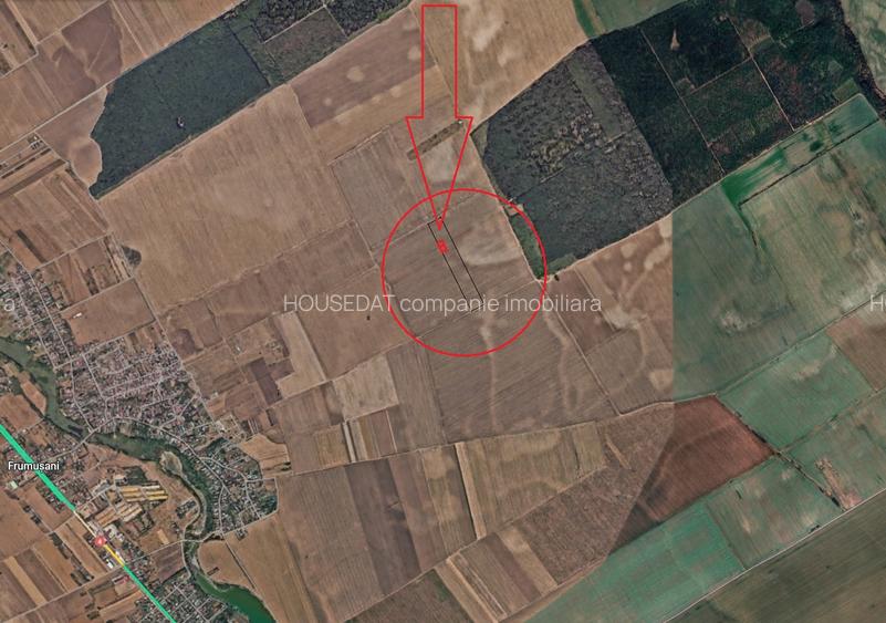 Vanzare teren Frumusani-Padurea Vladiceasca - 5