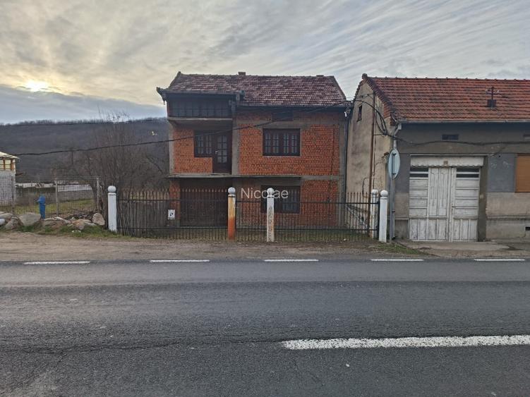 Casa P+1 Plugova + teren 5800 mp - 2